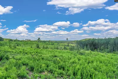 0000 Hwy 215 5 #5, Jenkinsville, SC 29065 - Photo 24