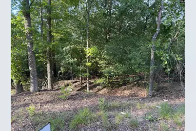 229 Governor Heyward Road, Eastover, SC 29044 - Photo 1