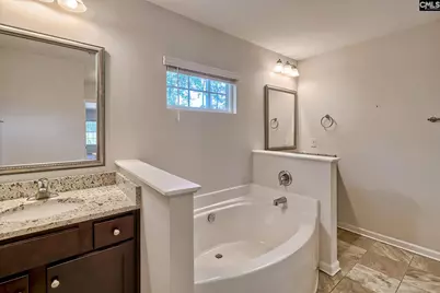 306 Dolly Horn Lane, Chapin, SC 29036 - Photo 28
