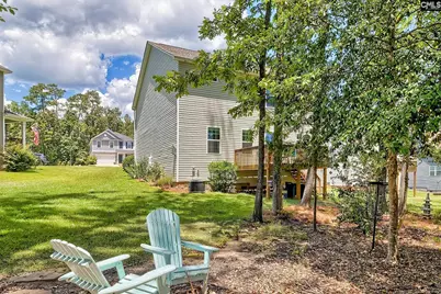 306 Dolly Horn Lane, Chapin, SC 29036 - Photo 42