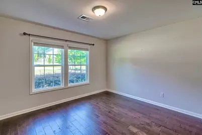 306 Dolly Horn Lane, Chapin, SC 29036 - Photo 6