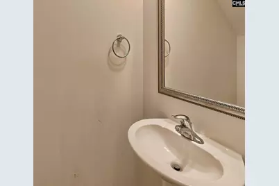 306 Dolly Horn Lane, Chapin, SC 29036 - Photo 12