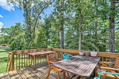 306 Dolly Horn Lane, Chapin, SC 29036 - Photo 44
