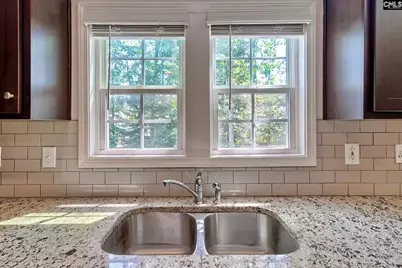 306 Dolly Horn Lane, Chapin, SC 29036 - Photo 16