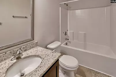 306 Dolly Horn Lane, Chapin, SC 29036 - Photo 34