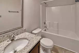 306 Dolly Horn Ln, Chapin, SC 29036 - Photo 34