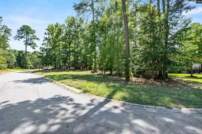 105 Oak Trace Court #30, Chapin, SC 29036 - Photo 4