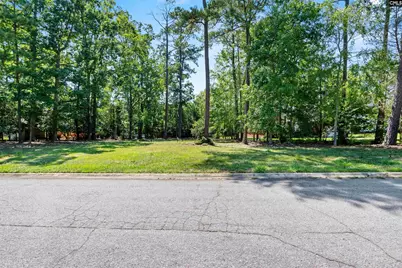 105 Oak Trace Court #30, Chapin, SC 29036 - Photo 6