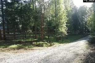 129 Tiger Paw Ln, Irmo, SC 29063 - Photo 32