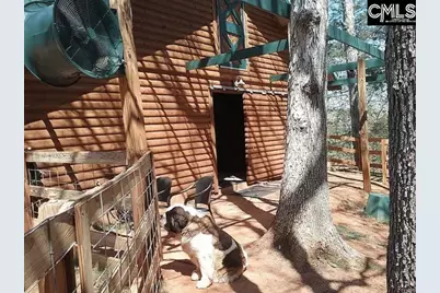 129 Tiger Paw Lane, Irmo, SC 29063 - Photo 8