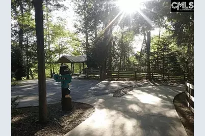 129 Tiger Paw Lane, Irmo, SC 29063 - Photo 34