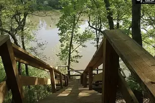 129 Tiger Paw Ln, Irmo, SC 29063 - Photo 36