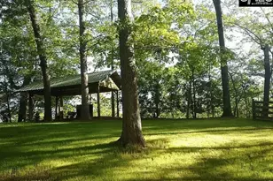 129 Tiger Paw Ln, Irmo, SC 29063 - Photo 16