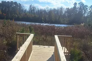 3613 Padgett Rd, Columbia, SC 29209 - Photo 16