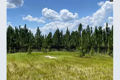 0 Bub Shumpert Road, Pelion, SC 29123 - Photo 8