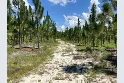 0 Bub Shumpert Road, Pelion, SC 29123 - Photo 6