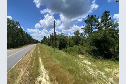0 Bub Shumpert Road, Pelion, SC 29123 - Photo 2