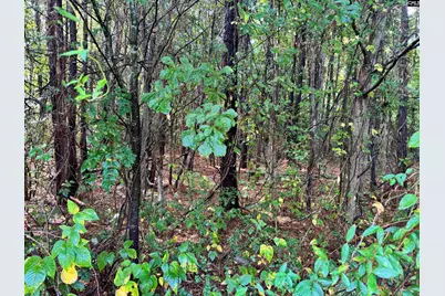 1906 Medfield Drive, Camden, SC 29020 - Photo 6