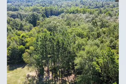 288 Peeler Road, Gaston, SC 29053 - Photo 4