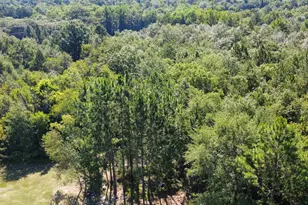 288 Peeler Rd, Gaston, SC 29053 - Photo 4