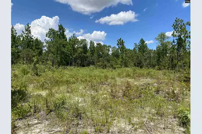 00 Bub Shumpert Road, Pelion, SC 29123 - Photo 24