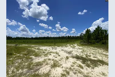 00 Bub Shumpert Road, Pelion, SC 29123 - Photo 20