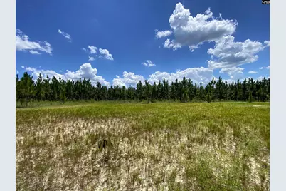 00 Bub Shumpert Road, Pelion, SC 29123 - Photo 8