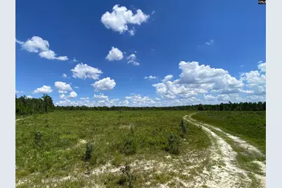 00 Bub Shumpert Road, Pelion, SC 29123 - Photo 10