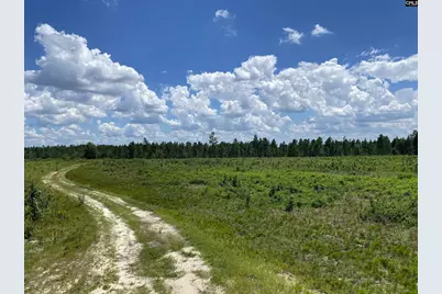 00 Bub Shumpert Road, Pelion, SC 29123 - Photo 6