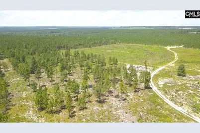 00 Bub Shumpert Road, Pelion, SC 29123 - Photo 14