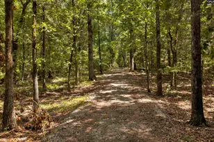 0 Pageland Hwy, Lancaster, SC 29720 - Photo 14