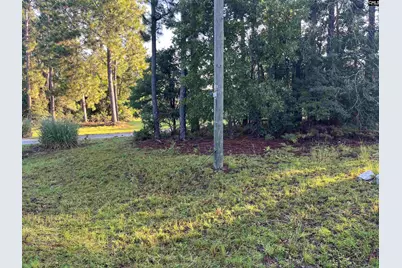 1863 Water Tank Road, Pelion, SC 29123 - Photo 4