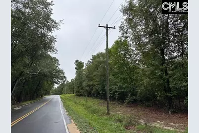 P/O 1375 Fallaw Road, Gaston, SC 29053 - Photo 1