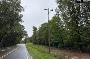 P/O 1375 Fallaw Rd, Gaston, SC 29053 - Photo 1