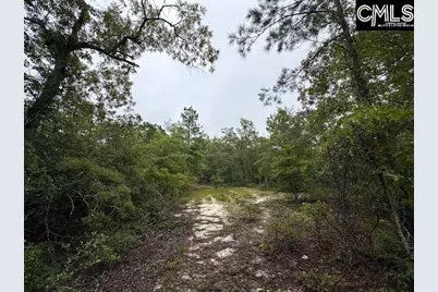 P/O 1375 Fallaw Road, Gaston, SC 29053 - Photo 6