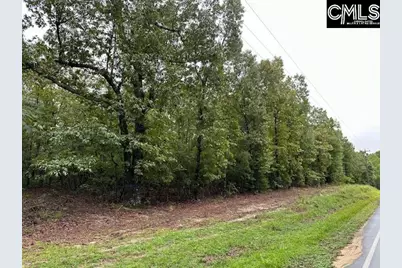 P/O 1375 Fallaw Road, Gaston, SC 29053 - Photo 2