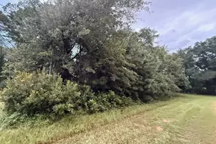 0 Staley Field Ln, Saint Matthews, SC 29135 - Photo 1