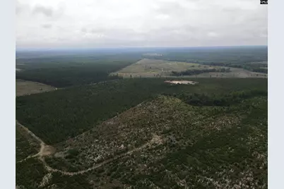 Tr 4 Providence Road 4 #Tract 4, Cassatt, SC 29032 - Photo 8