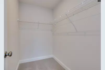 2430 Green Viper Loop, Blythewood, SC 29016 - Photo 42