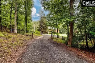 165 Indian Valley Ln, Swansea, SC 29160 - Photo 6