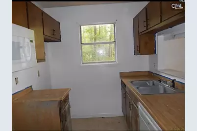 149 Leila Lane, Columbia, SC 29223 - Photo 4