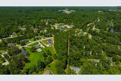409 Caro Lane #109, Chapin, SC 29036 - Photo 14