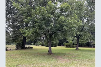 223 Gardners Farm Road, Swansea, SC 29160 - Photo 2