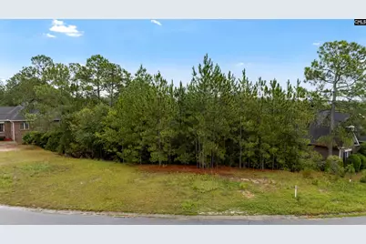 266 Polo Hill Road, Columbia, SC 29223 - Photo 18