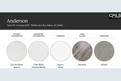 709 Ben Gunn Run, Gilbert, SC 29054 - Photo 4