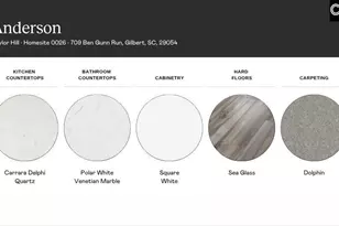 709 Ben Gunn Run, Gilbert, SC 29054 - Photo 4