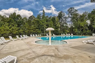 40 Hanging Leaf Court, Blythewood, SC 29016 - Photo 48