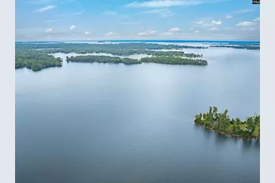 842 Misty Harbor Road, Chapin, SC 29036 - Photo 6