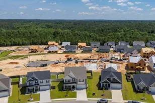 2421 Morning Glory Trl, Lexington, SC 29073 - Photo 52