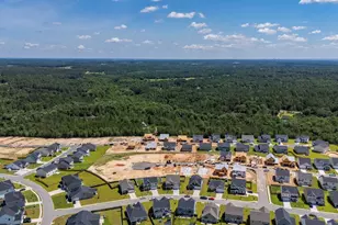 2421 Morning Glory Trl, Lexington, SC 29073 - Photo 54